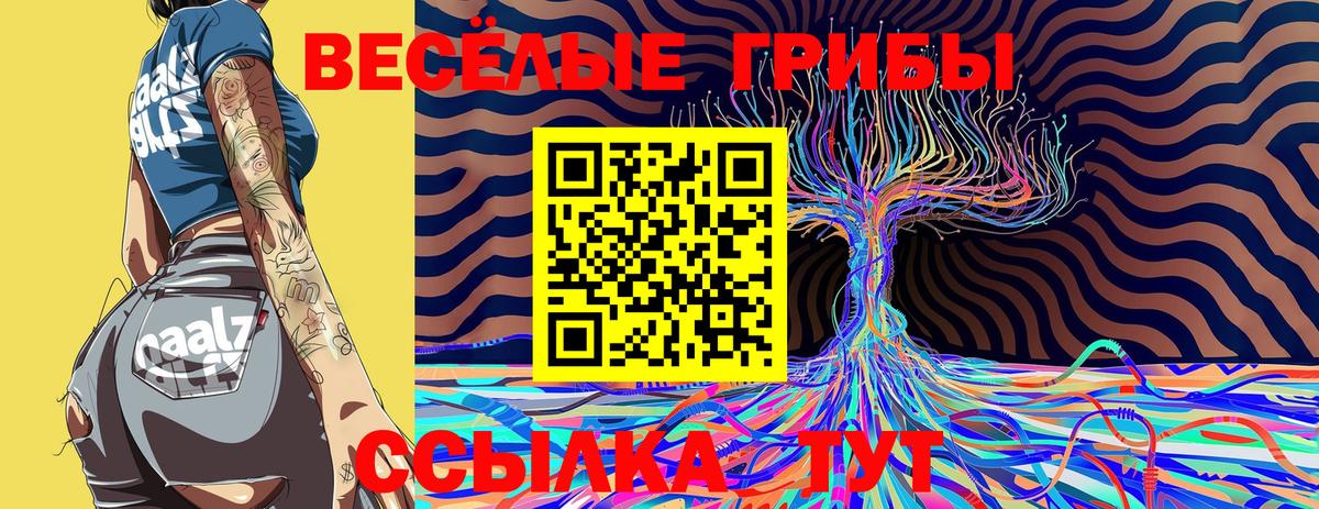 Псилоцибиновые грибы прущие грибы Старая Купавна