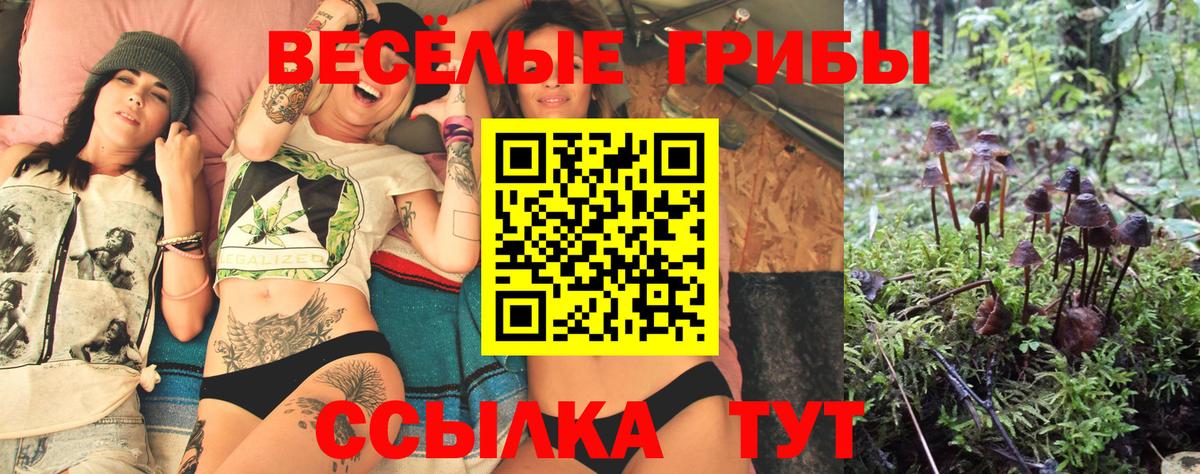 Псилоцибиновые грибы мухоморы  Вход с VPN  Старая Купавна 
